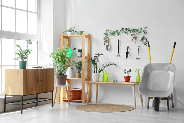 Комплект садовых инструментов и растений возле светлой стены