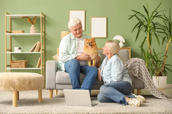 Pomeranya köpeği ve dizüstü bilgisayarı evde dinlenen mutlu yaşlı çift.