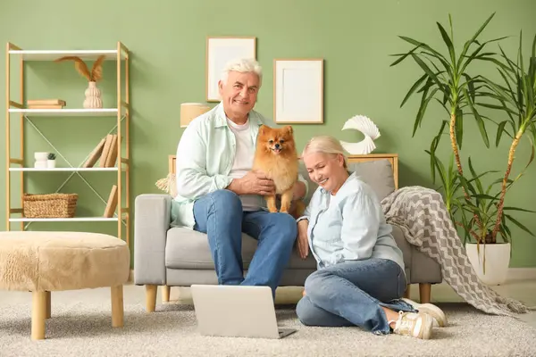 Pomeranya köpeği ve dizüstü bilgisayarı evde dinlenen mutlu yaşlı çift.