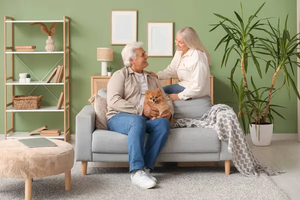 Evdeki koltukta oturan sevimli Pomeranya köpeğiyle mutlu son sınıf çifti