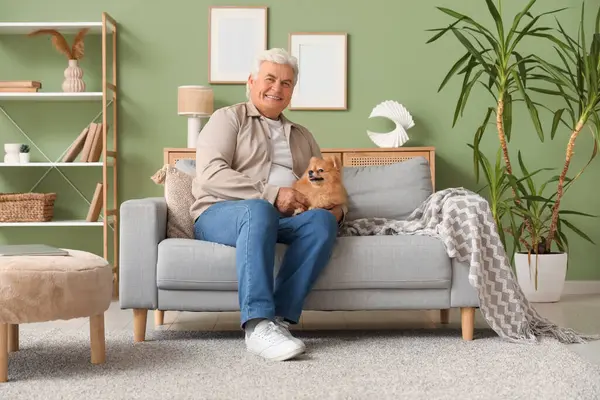 Evdeki kanepede oturan sevimli Pomeranya köpeği olan mutlu son sınıf öğrencisi.