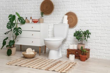 Tuvaletin içinde klozet, çekmeceler ve bitkiler var.