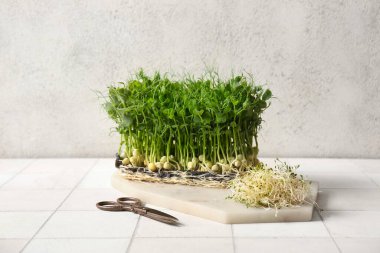 Taze mikro yeşil lahanalı tahta ve makas açık fayanslı masada.