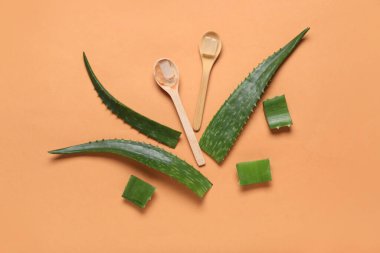 Ahşap kaşıklar dolusu taze aloe jeli ve renk arkaplanındaki yapraklarla kompozisyon