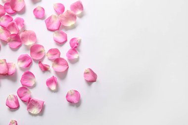 Beyaz arka planda birçok güzel pembe gül yaprakları