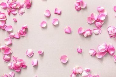 Gri arka planda bir sürü güzel gül yaprağı