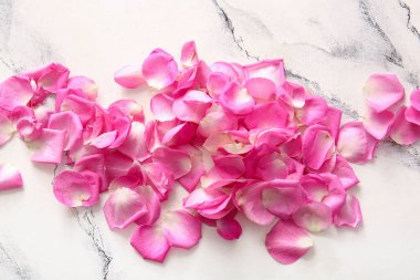 Mermer arka planda güzel pembe gül yaprakları