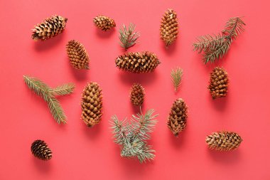 Kırmızı arkaplanda çam kozalakları ve köknar dalları