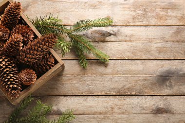 Çam kozalaklı kutu ve ahşap arka planda köknar dalları