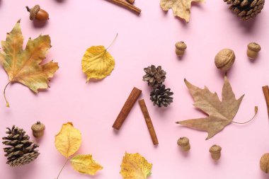 Düşen yapraklar, tarçın çubukları, kozalaklar ve pembe arka planda meşe palamutları olan kompozisyon