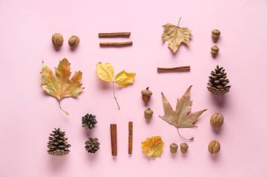 Doğal orman dekoruna sahip kompozisyon, pembe arka planda ceviz ve tarçın çubukları