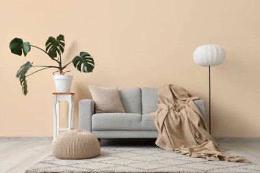 Gri kanepe, lamba ve Monstera bitkisi olan oturma odasının içinde.