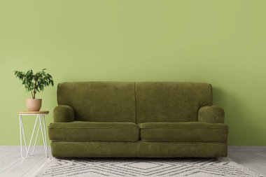 Yeşil duvarın yanındaki sehpanın üzerinde şık bir kanepe ve küçük zeytin ağacı.