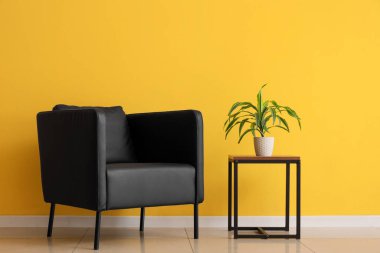 Sarı duvarın yanındaki sehpanın üzerinde siyah koltuk ve çiçek var.