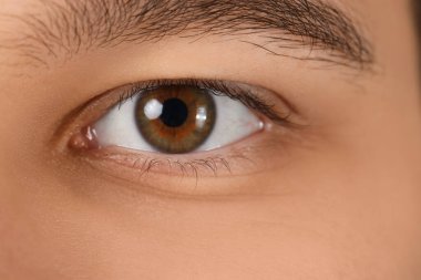Young man with brown eyes, closeup