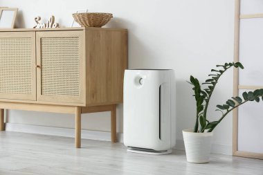 Oturma odasındaki ışık duvarının yanında hava temizleyici var.