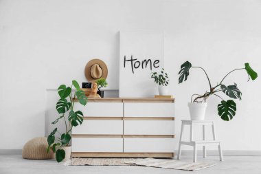 Klozet, poster ve bitkilerle aydınlatma odasının içi