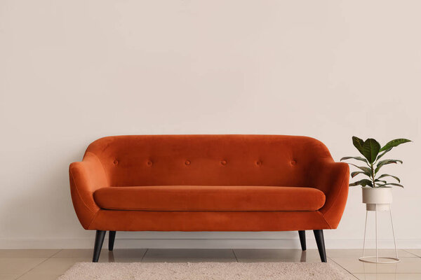 Стильный коричневый диван и домашнее растение у белой стены
