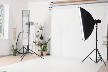 Profesyonel ekipman, raf ünitesi ve bitkilerle dolu bir fotoğraf stüdyosu.