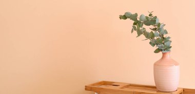 Pembe duvarın yanındaki tepside okaliptüs dalları olan vazo. Tasarım için pankart