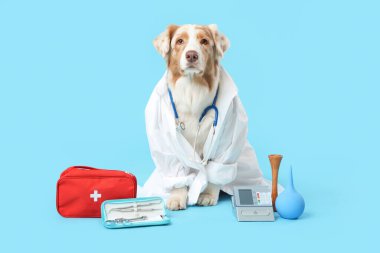 Mavi arka planda tıbbi malzemeleri olan doktor üniformalı şirin Avustralya çoban köpeği.