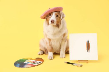 Sarı arka planda sanatçı malzemeleriyle bereli şirin Avustralya çoban köpeği.