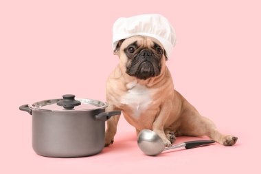 Aşçı şapkalı tatlı Fransız bulldog 'u, pembe arka planda tencere ve kepçe var.