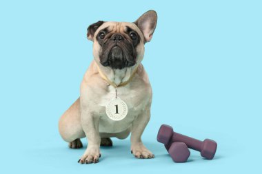 Mavi arka planda birincilik madalyası ve dambılları olan sevimli Fransız bulldogu.