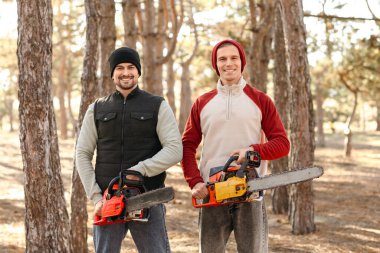 Male lumberjacks with chainsaws in forest clipart