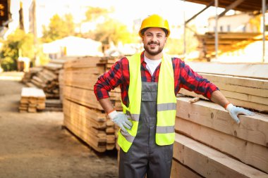 Yansıtıcı yelek giymiş genç marangoz kereste fabrikasının ahşap kalaslarının yanında.