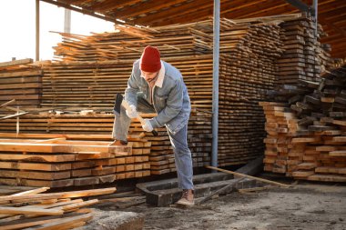 Baltalı yakışıklı marangoz kereste fabrikasında tahta kesiyor.
