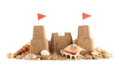 Bayraklı kumdan kale ve beyaz arka planda farklı deniz kabukları.