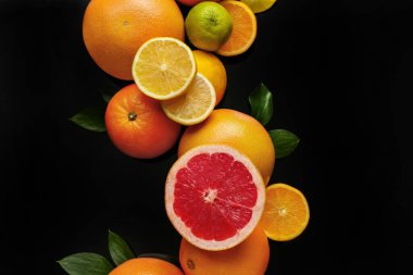 Siyah arka planda yaprakları olan farklı turunçgil meyveleri.