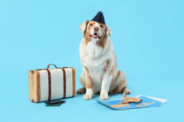 Cute Australian Shepherd dog in stewardess hat with suitcase and maps on blue background