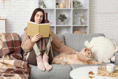 Kanepede oturan genç kadın sevimli Maine Rakun kedisi ve evde kitap okuyor.