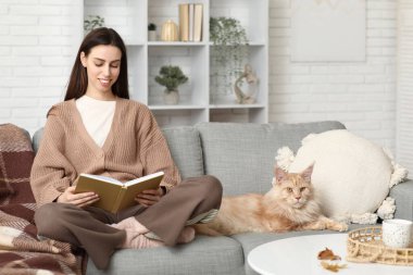 Kanepede oturan genç kadın sevimli Maine Rakun kedisi ve evde kitap okuyor.