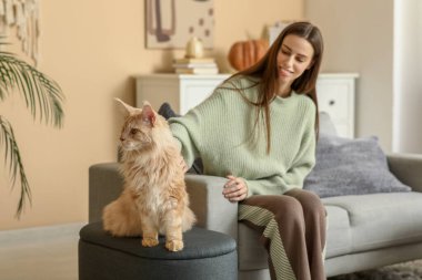 Evinde sevimli Maine Rakun kedisiyle kanepede oturan genç bir kadın.