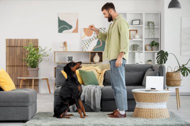 Genç adam evde Dobermann 'ın köpeğine atıştırmalık veriyor.