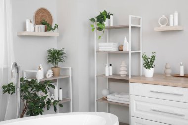 Tuvaletteki raf raflarında temiz havlular, ev bitkileri ve kozmetik ürünler var.