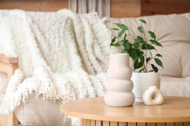 Oturma odasındaki vazolarda bitki, yakın plan.