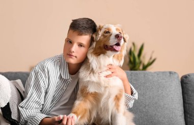 Avustralya çoban köpeği olan genç çocuk evdeki kanepede oturuyor.