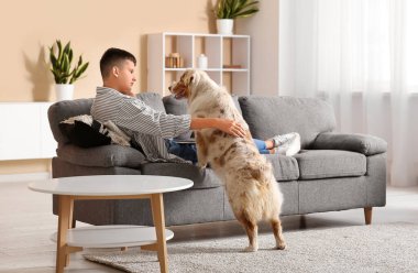 Avustralyalı çoban köpeği ve dizüstü bilgisayarı olan genç çocuk evdeki kanepede yatıyor.