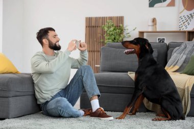 Genç adam evde Dobermann 'ın köpeğinin fotoğrafını çekiyor.