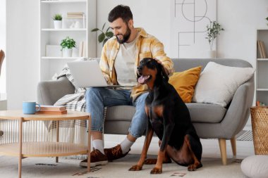 Dizüstü bilgisayarı olan genç bir adam ve evdeki kanepede oturan Dobermann köpeği.