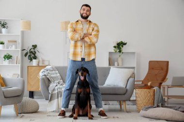Dobermann 'ın köpeği evde genç bir adam.