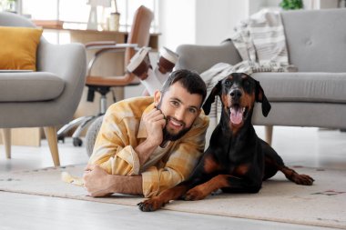 Dobermann 'ın köpeği evde halıya uzanmış genç bir adam.