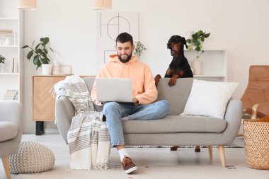 Dobermann köpekli genç adam evdeki kanepede dizüstü bilgisayar kullanıyor.