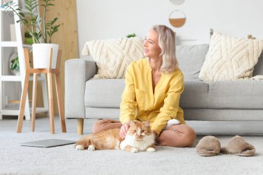 Şirin kedisi ve yumuşak terlikleri olan güzel bir kadın evde yerde oturuyor.