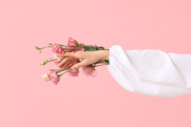Pembe arka planda güzel Eustoma çiçekleri olan bir kadın eli.