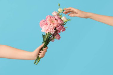 Mavi arka planda güzel Eustoma çiçekleri olan kadın elleri